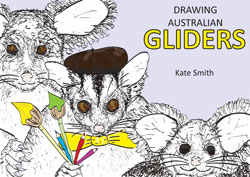 Drawing Australian Gliders