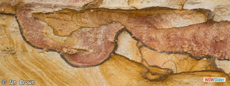 4. Goulburn River sandstone