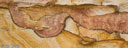 4. Goulburn River sandstone